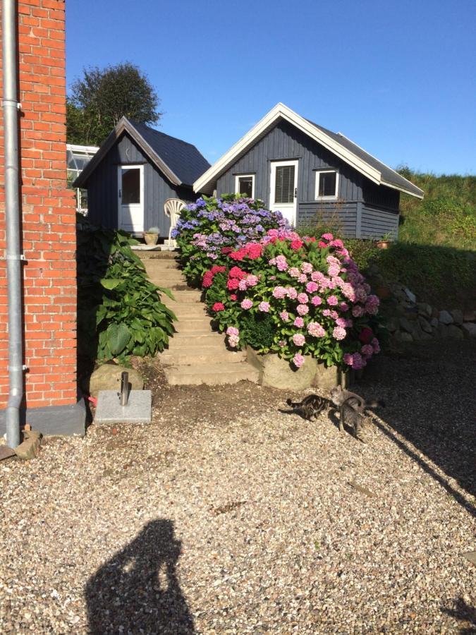 Brorup Kjaersgaard, Hygge, Ro, Natur Og Landliv Skanderborg Exterior photo