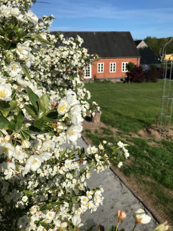 Brorup Kjaersgaard, Hygge, Ro, Natur Og Landliv Skanderborg Exterior photo